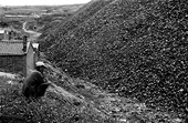 VN: MoIT seeks gov't nod for more coal exports
