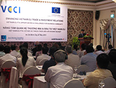 Recommendations for Vietnam businesses and associations on potential changes in trade remedies laws and regulations of the EU