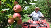 New Zealand: Growers to fight anti-dumping changes