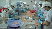 Vietnam: Exporters lack tariff knowhow