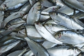 Japan may request WTO panel in August over Seoul’s fishery import ban