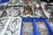 Japan to call for WTO panel ruling on Seoul’s nuclear disaster-related fishery import ban