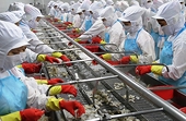 US slashes anti-dumping tax on Vietnamese shrimp