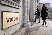 India’s farm subsidy programme may face fresh challenge at WTO