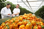 Non tariff barriers inhibiting agri food export potential