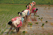 Deadlock as India rejects subsidies deal