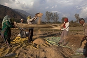 WTO Leaders Agree to End Farm Subsidies as Doha Unresolved