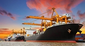 VN: Trade remedies should protect business interests