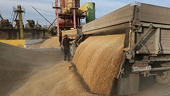 Swiss end subsidies of farm exports to poorest nations