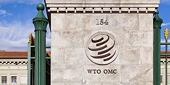 WTO members still wish to achieve results in rules negotiations
