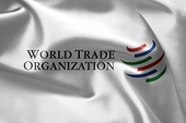 China urges India to strictly follow WTO rules on anti-dumping investigations