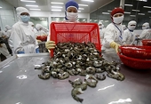 Vietnam copes with free, fair trade and anti-dumping