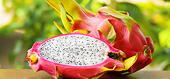 Australia considers dragon fruit imports from Việt Nam