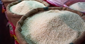 Việt Nam wary of Thailand’s rice sales plan