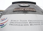 How WTO's ruling against India will hurt solar industry