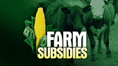 Farm subsidy data gaps hampering progress in WTO talks, chair says