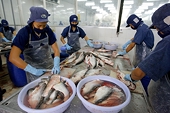 US ends catfish inspection programme
