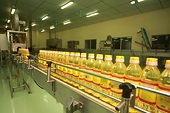 VN: Edible oil producers import tax cut looms
