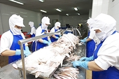 VN: Firms urged to up use of trade remedies