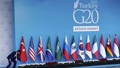 WTO report: “G20 trade restrictions reach highest monthly level since the crisis”