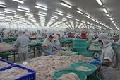 VN: Tra fish exports to China thriving