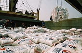 New Manners In Chinese Marketplace Worry Rice Exporters