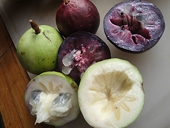 US may allow import of VN star apples
