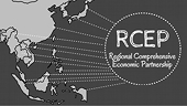 India to defend stand against zero-tariffs at RCEP trade ministers’ meet
