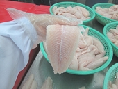 Vietnam: Pangasius exports on rise except to European Union