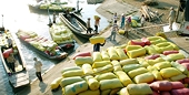 Gov't aims to lift agricultural exports