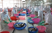 Panama to import VN seafood
