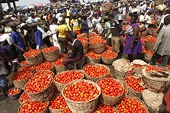 Importing food is harming the continent, UN agency head to tell African leaders
