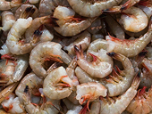 US cuts duty barrier on shrimp import