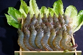 Vietnam to sue US over shrimp antidumping duties