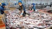 Fisheries exports certification to be expanded nationwide