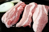 Russia appeals WTO ruling against its embargo of EU pork