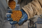 China slaps anti-subsidy duties on U.S. distillers' dried grains