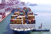 U.S. Blasts Russian `Import Substitution' in WTO Review