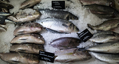 Seafood import restriction removed