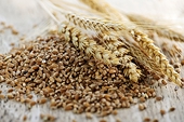 U.S. challenges China's grain import quotas at WTO