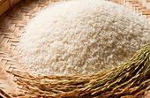 VN: Ministry relaxes rice export regulations
