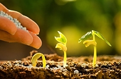 Ukraine postpones introduction of anti-dumping duties on Russian fertilizers