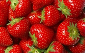 RoK strawberry imports face new rules