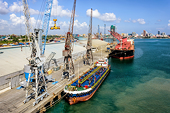 Report blames Tanzania for increase in non-tariff barriers