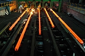 Japan asks WTO to set up settlement panel in India steel dispute