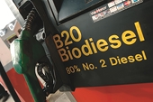 Indonesia plans to file WTO complaint over EU biodiesel duties