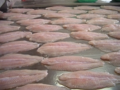 US DOC confirms pangasius anti-dumping rates