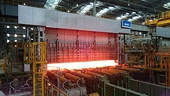 Steel industry to grow, export pressures high