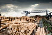 Canada Responds To 'Unfair' US Lumber Tariff