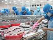 VN: Fish exporters aim to crack Europe